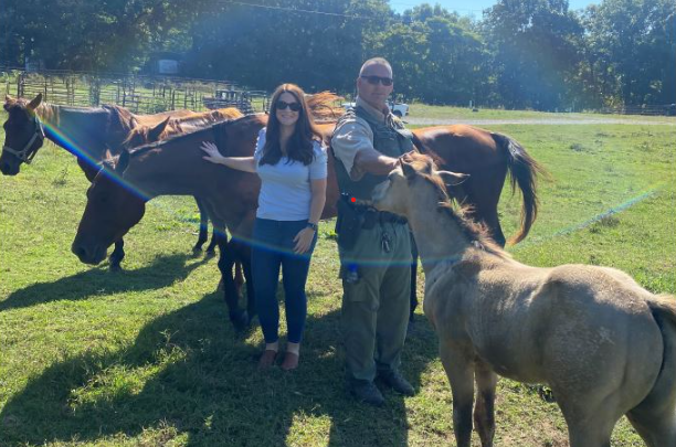 12 horses seized after mistreatment